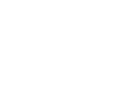 wlan icon